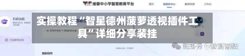 实操教程“智星德州菠萝透视插件工具”详细分享装挂-第2张图片