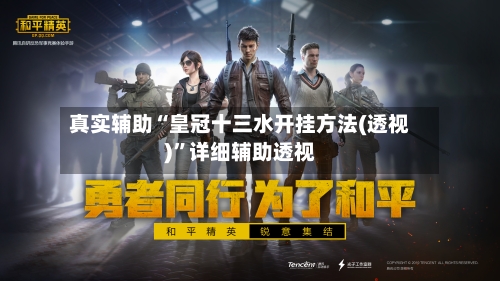 真实辅助“皇冠十三水开挂方法(透视)	”详细辅助透视-第2张图片