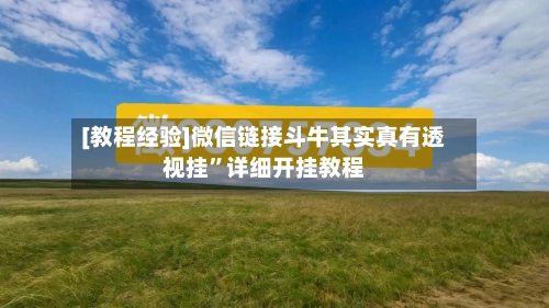 [教程经验]微信链接斗牛其实真有透视挂”详细开挂教程-第3张图片