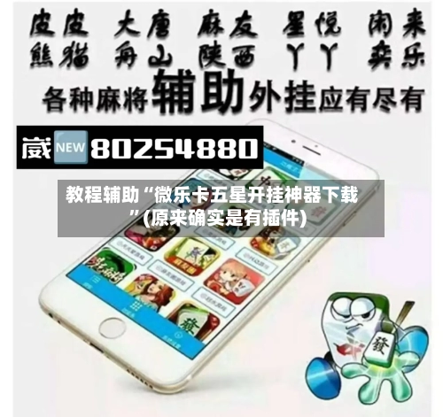 教程辅助“微乐卡五星开挂神器下载	”(原来确实是有插件)-第2张图片