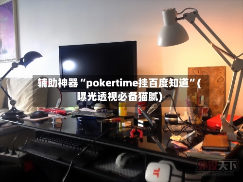 辅助神器“pokertime挂百度知道”(曝光透视必备猫腻)-第2张图片