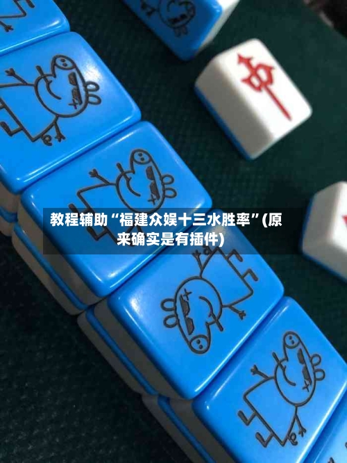 教程辅助“福建众娱十三水胜率”(原来确实是有插件)