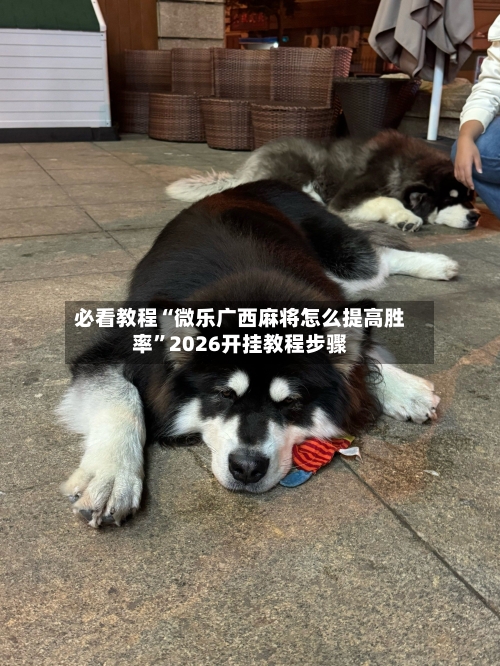 必看教程“微乐广西麻将怎么提高胜率”2026开挂教程步骤-第3张图片