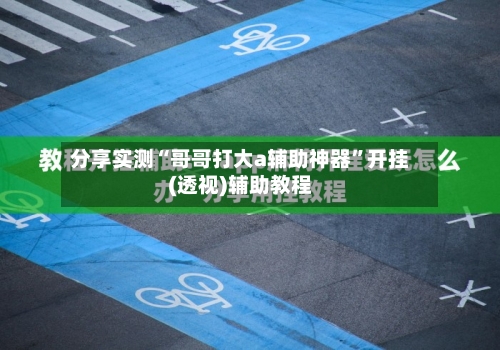 分享实测“哥哥打大a辅助神器	”开挂(透视)辅助教程-第2张图片