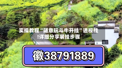 实操教程“随意玩斗牛开挂”透视挂!详细分享装挂步骤-第3张图片