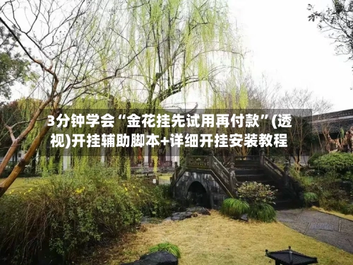 3分钟学会“金花挂先试用再付款”(透视)开挂辅助脚本+详细开挂安装教程-第2张图片