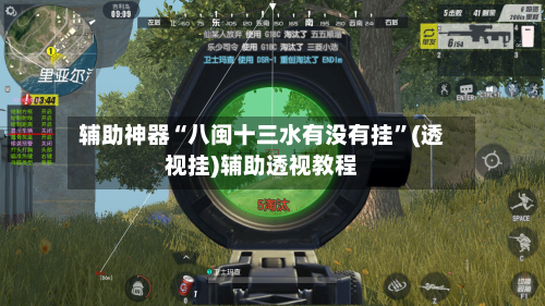 辅助神器“八闽十三水有没有挂”(透视挂)辅助透视教程-第2张图片