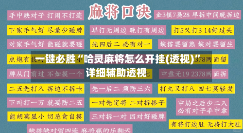 一键必胜“哈灵麻将怎么开挂(透视)”详细辅助透视-第2张图片