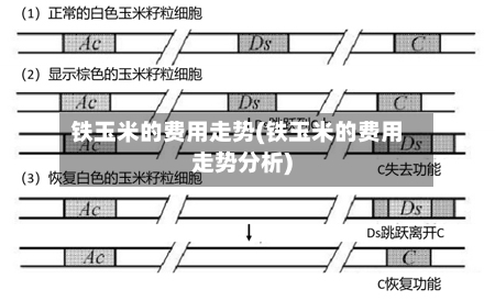 铁玉米的费用走势(铁玉米的费用走势分析)-第3张图片