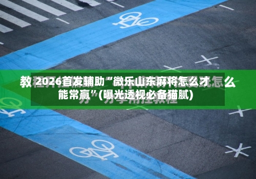 2026首发辅助“微乐山东麻将怎么才能常赢”(曝光透视必备猫腻)-第2张图片