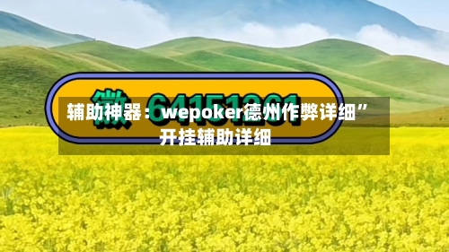 辅助神器：wepoker德州作弊详细”开挂辅助详细-第3张图片