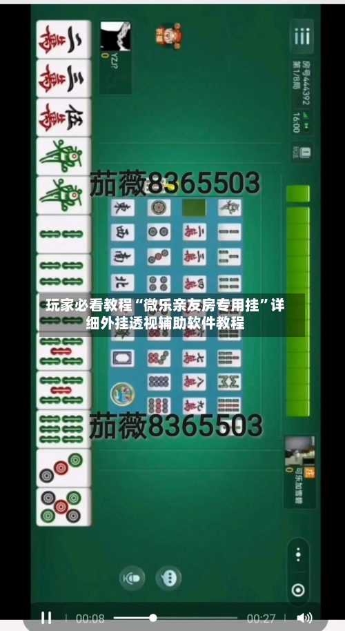 玩家必看教程“微乐亲友房专用挂”详细外挂透视辅助软件教程-第2张图片