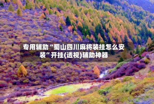 专用辅助“蜀山四川麻将装挂怎么安装”开挂(透视)辅助神器-第2张图片