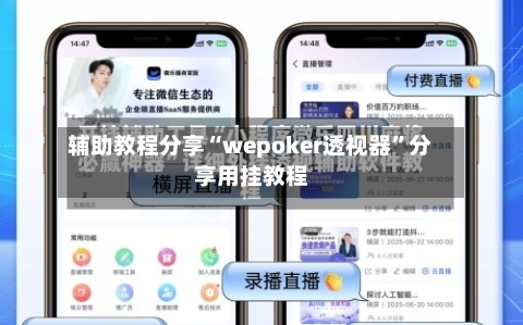 辅助教程分享“wepoker透视器”分享用挂教程-第2张图片