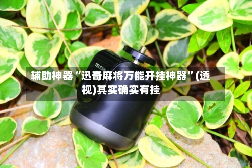 辅助神器“迅奇麻将万能开挂神器	”(透视)其实确实有挂-第2张图片