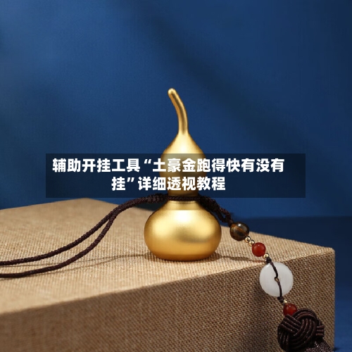 辅助开挂工具“土豪金跑得快有没有挂	”详细透视教程-第2张图片