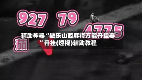 辅助神器“微乐山西麻将万能开挂器”开挂(透视)辅助教程-第2张图片