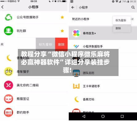教程分享“微信小程序微乐麻将必赢神器软件”详细分享装挂步骤!-第3张图片