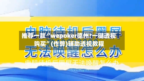 推荐一款“wepoker德州?一键透视购买”(作弊)辅助透视教程-第3张图片
