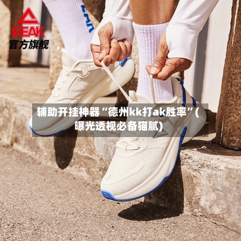 辅助开挂神器“德州kk打ak胜率”(曝光透视必备猫腻)-第3张图片