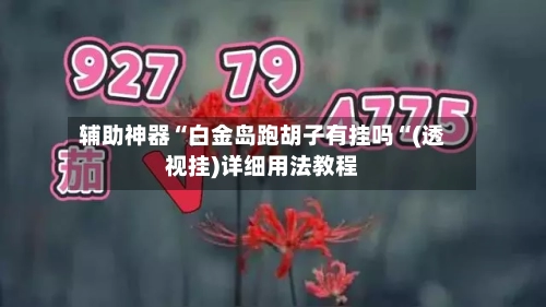 辅助神器“白金岛跑胡子有挂吗“(透视挂)详细用法教程