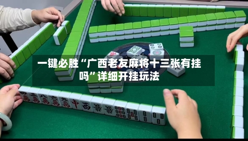 一键必胜“广西老友麻将十三张有挂吗”详细开挂玩法-第3张图片