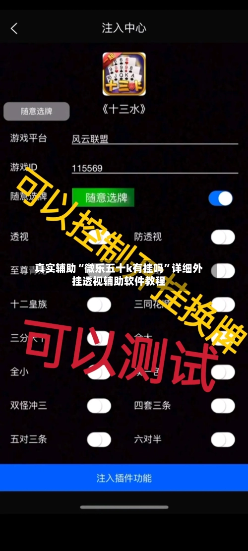 真实辅助“微乐五十k有挂吗	”详细外挂透视辅助软件教程-第2张图片