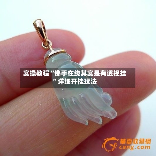 实操教程“佛手在线其实是有透视挂”详细开挂玩法-第3张图片