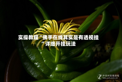 实操教程“佛手在线其实是有透视挂	”详细开挂玩法-第2张图片