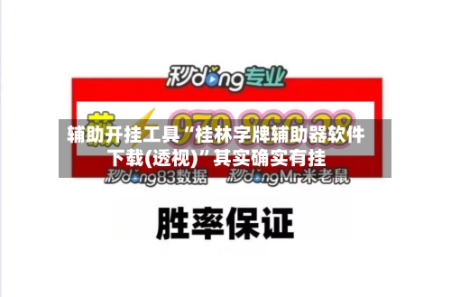 辅助开挂工具“桂林字牌辅助器软件下载(透视)”其实确实有挂