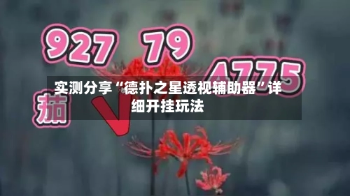 实测分享“德扑之星透视辅助器	”详细开挂玩法-第2张图片
