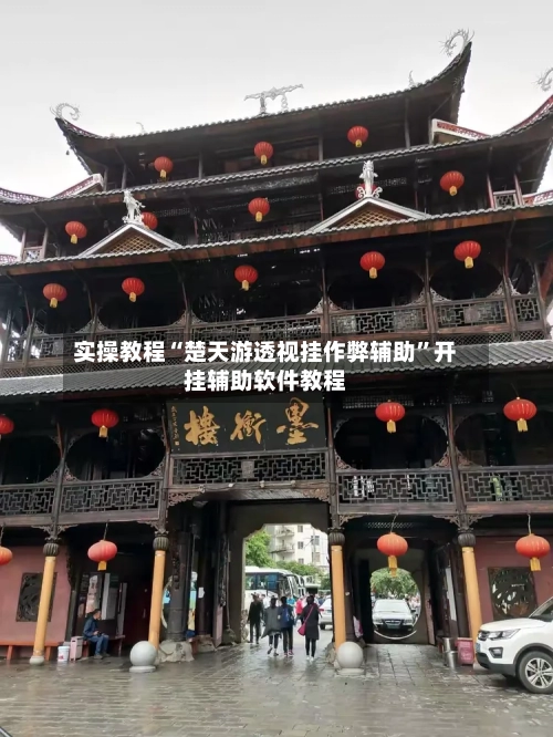 实操教程“楚天游透视挂作弊辅助”开挂辅助软件教程-第2张图片