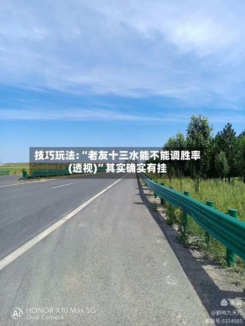 技巧玩法:“老友十三水能不能调胜率(透视)”其实确实有挂-第2张图片