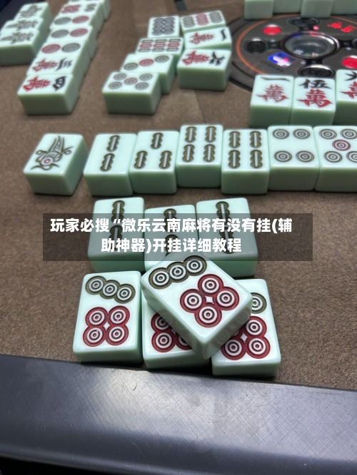 玩家必搜“微乐云南麻将有没有挂(辅助神器)开挂详细教程-第3张图片