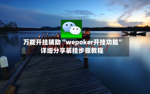 万能开挂辅助“wepoker开挂功能”详细分享装挂步骤教程-第3张图片
