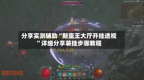 分享实测辅助“新蛮王大厅开挂透视”详细分享装挂步骤教程-第2张图片