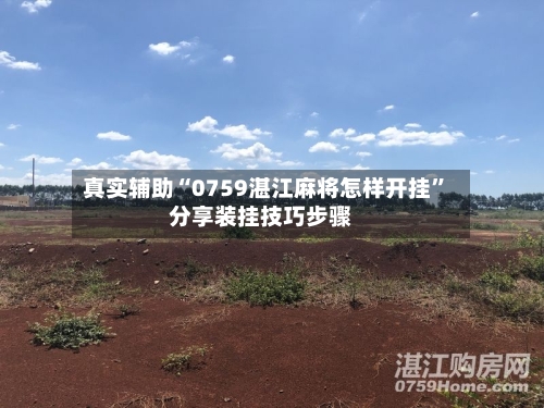 真实辅助“0759湛江麻将怎样开挂”分享装挂技巧步骤-第3张图片