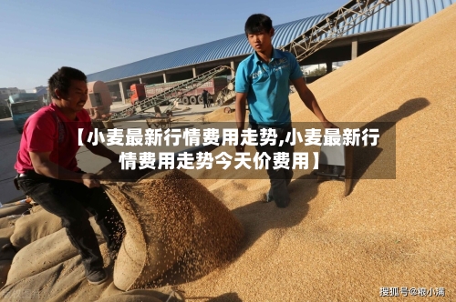 【小麦最新行情费用走势,小麦最新行情费用走势今天价费用】-第2张图片