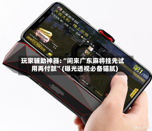 玩家辅助神器:“闲来广东麻将挂先试用再付款”(曝光透视必备猫腻)-第2张图片
