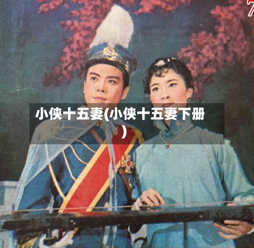 小侠十五妻(小侠十五妻下册)-第2张图片