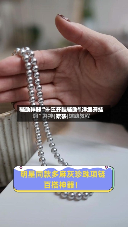 辅助神器“十三开挂辅助”详细开挂玩法