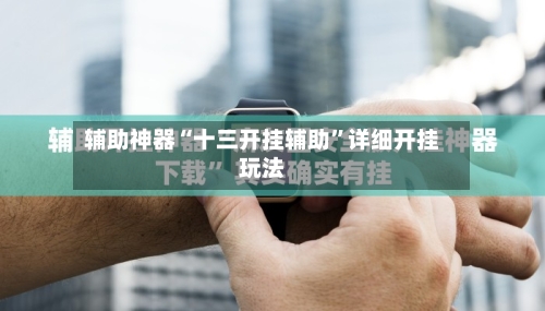 辅助神器“十三开挂辅助”详细开挂玩法-第2张图片