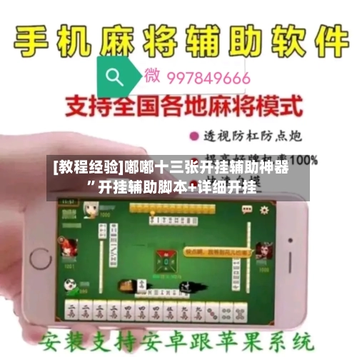 [教程经验]嘟嘟十三张开挂辅助神器	”开挂辅助脚本+详细开挂-第2张图片