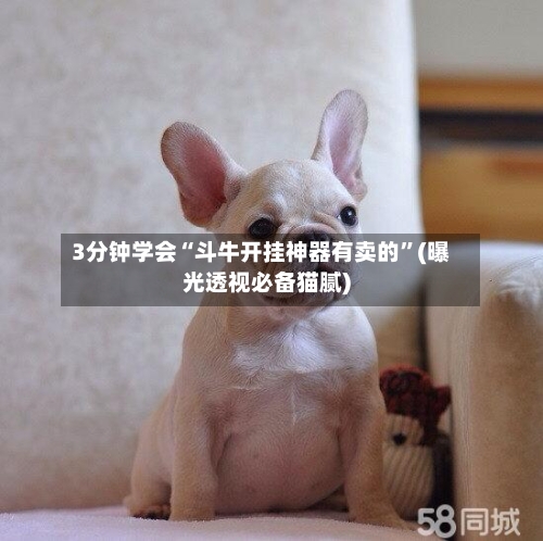 3分钟学会“斗牛开挂神器有卖的”(曝光透视必备猫腻)-第2张图片