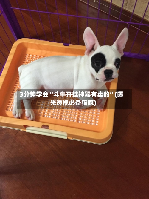 3分钟学会“斗牛开挂神器有卖的	”(曝光透视必备猫腻)-第3张图片