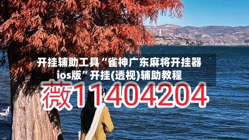 开挂辅助工具“雀神广东麻将开挂器ios版”开挂(透视)辅助教程-第3张图片