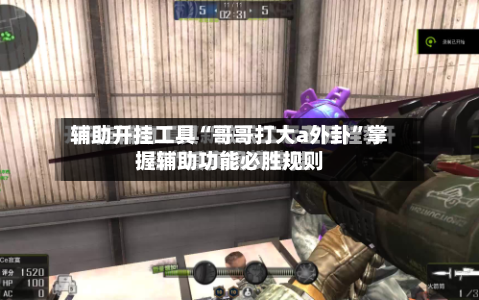 辅助开挂工具“哥哥打大a外卦”掌握辅助功能必胜规则-第2张图片