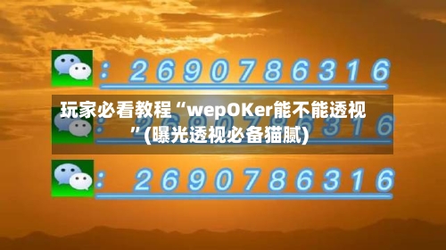 玩家必看教程“wepOKer能不能透视	”(曝光透视必备猫腻)-第2张图片