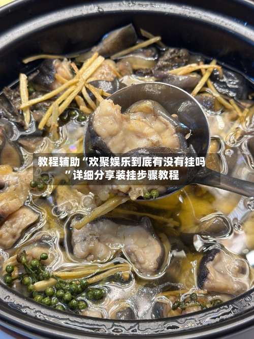 教程辅助“欢聚娱乐到底有没有挂吗”详细分享装挂步骤教程-第2张图片