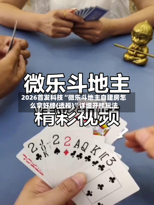 2026首发科技“微乐斗地主自建房怎么拿好牌(透视)	”详细开挂玩法-第2张图片